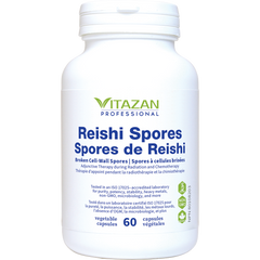 Spores de Reishi