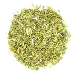 Avoine verte - tige