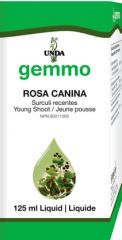 Rosa canina
