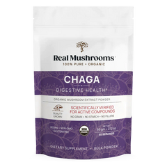 Extrait de Chaga (poudre)