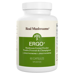 Ergo+