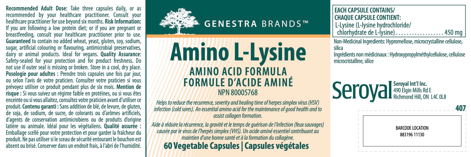 Amino L-Lysine