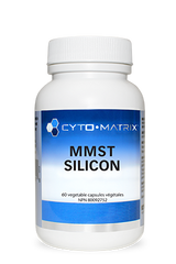 MMST Silicon