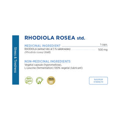 Extrait Rhodiola Rosea